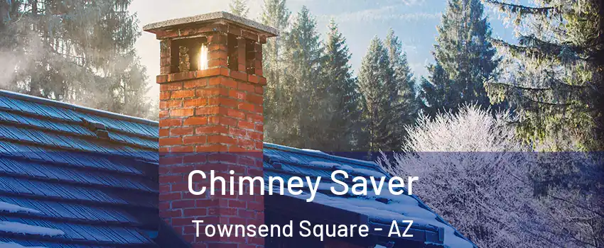 Chimney Saver Townsend Square - AZ