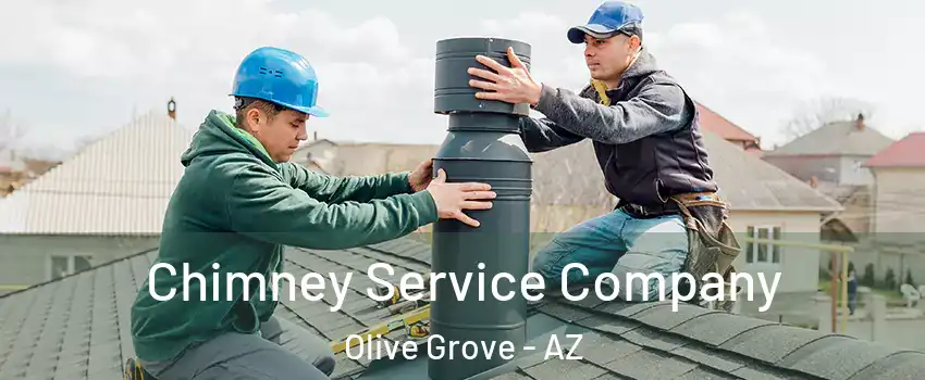 Chimney Service Company Olive Grove - AZ