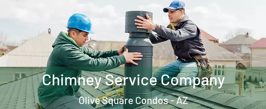 Chimney Service Company Olive Square Condos - AZ