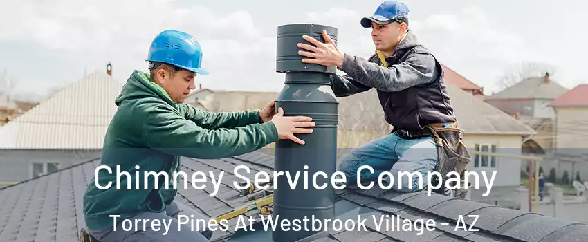 Chimney Service Company Torrey Pines At Westbrook Village - AZ