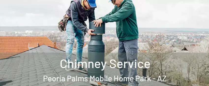 Chimney Service Peoria Palms Mobile Home Park - AZ