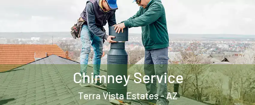 Chimney Service Terra Vista Estates - AZ