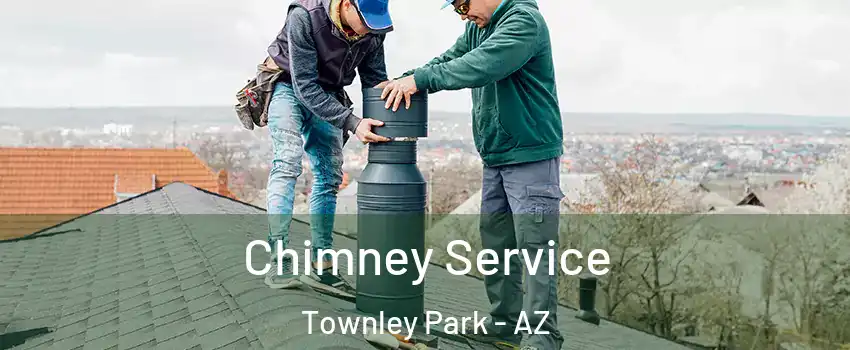 Chimney Service Townley Park - AZ