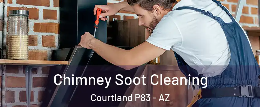 Chimney Soot Cleaning Courtland P83 - AZ