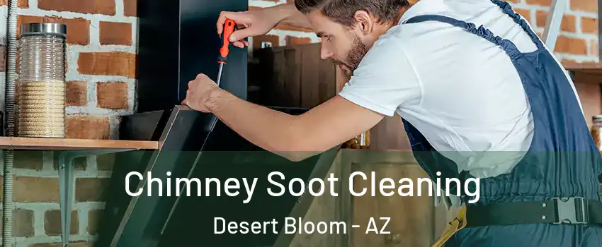 Chimney Soot Cleaning Desert Bloom - AZ
