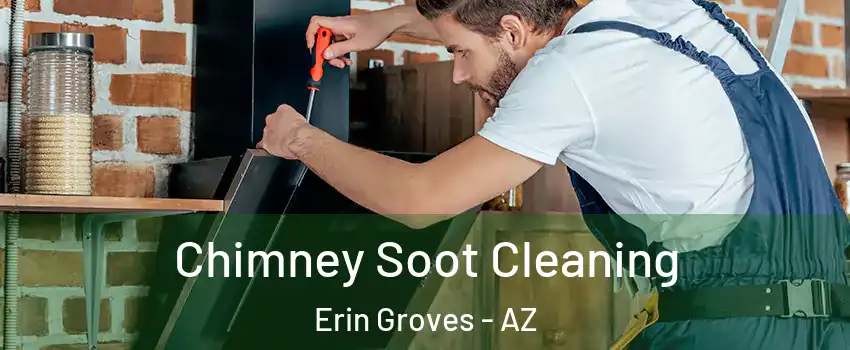 Chimney Soot Cleaning Erin Groves - AZ
