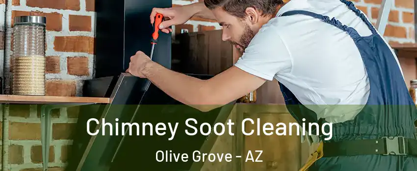 Chimney Soot Cleaning Olive Grove - AZ