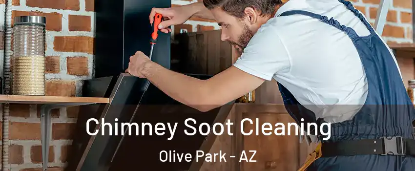 Chimney Soot Cleaning Olive Park - AZ