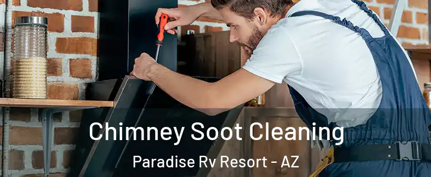 Chimney Soot Cleaning Paradise Rv Resort - AZ