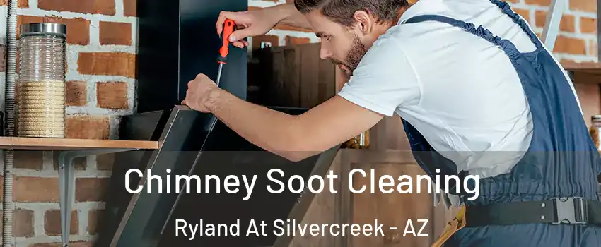 Chimney Soot Cleaning Ryland At Silvercreek - AZ