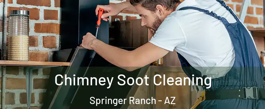 Chimney Soot Cleaning Springer Ranch - AZ