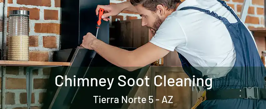 Chimney Soot Cleaning Tierra Norte 5 - AZ