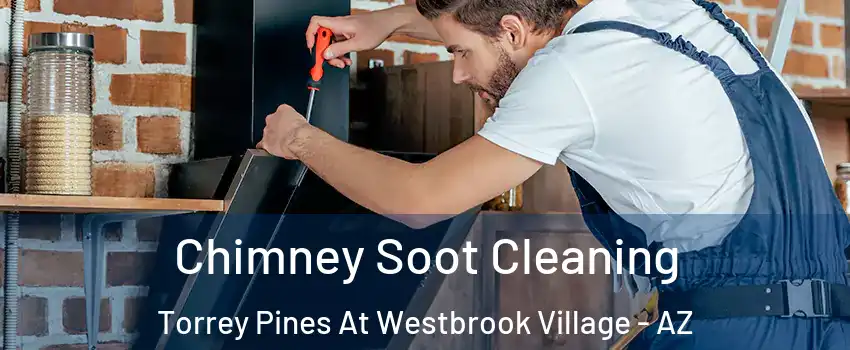 Chimney Soot Cleaning Torrey Pines At Westbrook Village - AZ
