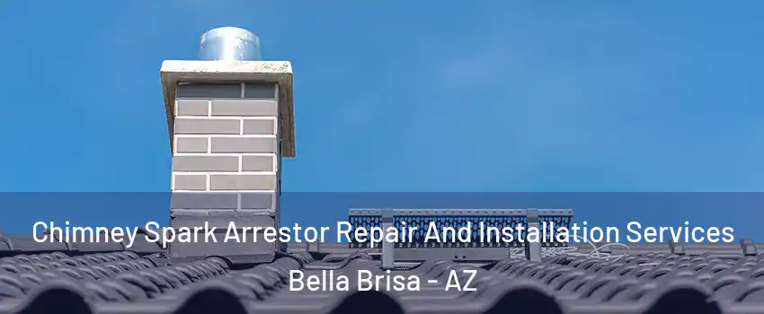 Chimney Spark Arrestor Repair And Installation Services Bella Brisa - AZ