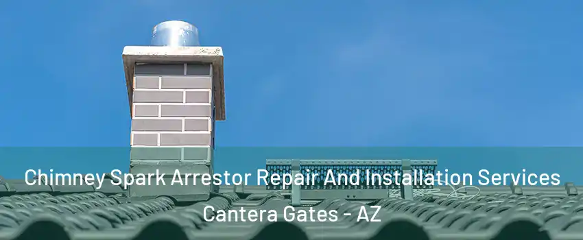 Chimney Spark Arrestor Repair And Installation Services Cantera Gates - AZ