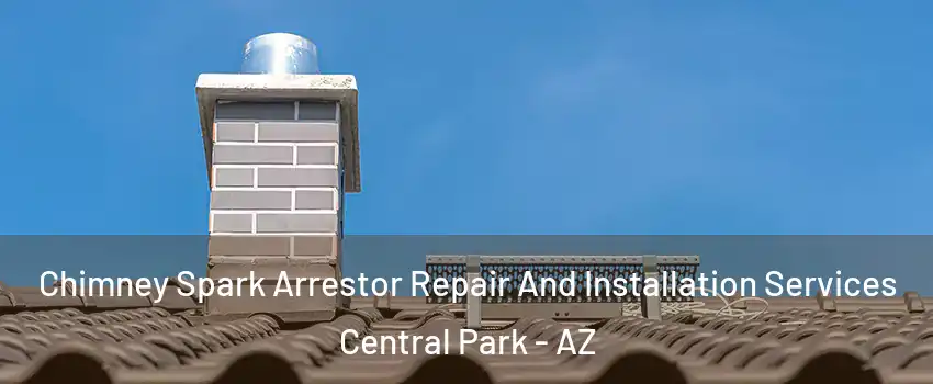 Chimney Spark Arrestor Repair And Installation Services Central Park - AZ