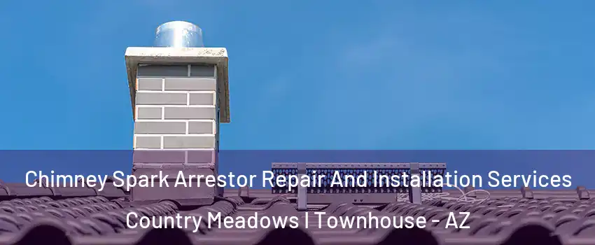 Chimney Spark Arrestor Repair And Installation Services Country Meadows I Townhouse - AZ