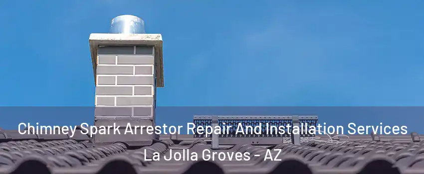 Chimney Spark Arrestor Repair And Installation Services La Jolla Groves - AZ