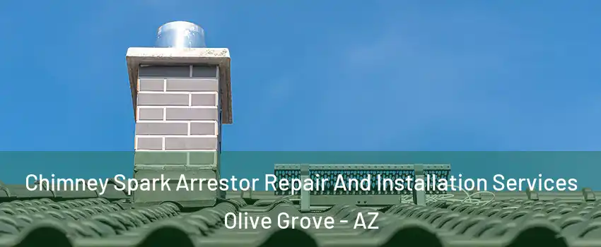 Chimney Spark Arrestor Repair And Installation Services Olive Grove - AZ