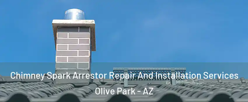 Chimney Spark Arrestor Repair And Installation Services Olive Park - AZ