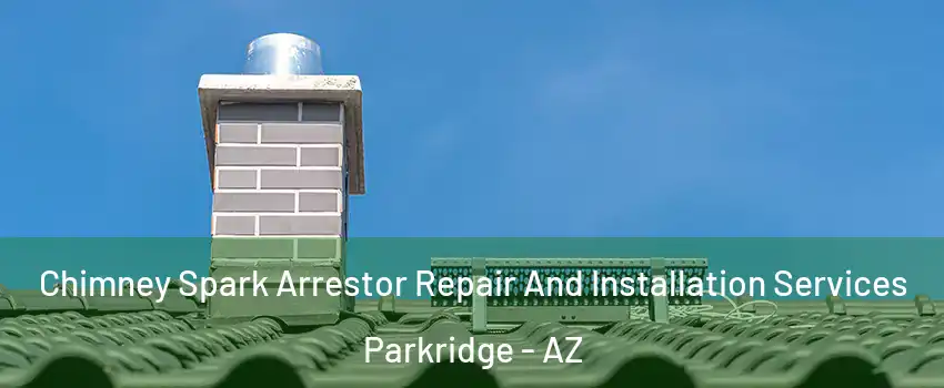 Chimney Spark Arrestor Repair And Installation Services Parkridge - AZ
