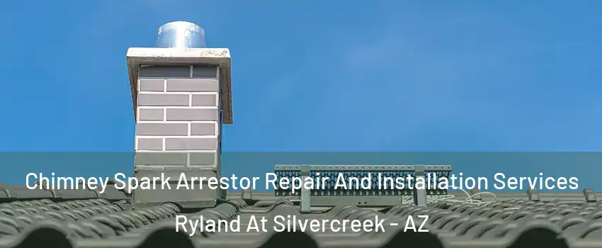 Chimney Spark Arrestor Repair And Installation Services Ryland At Silvercreek - AZ