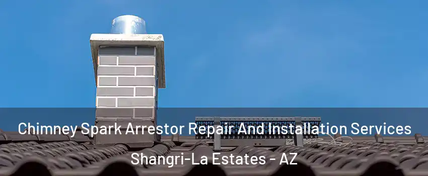 Chimney Spark Arrestor Repair And Installation Services Shangri-La Estates - AZ