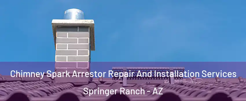 Chimney Spark Arrestor Repair And Installation Services Springer Ranch - AZ