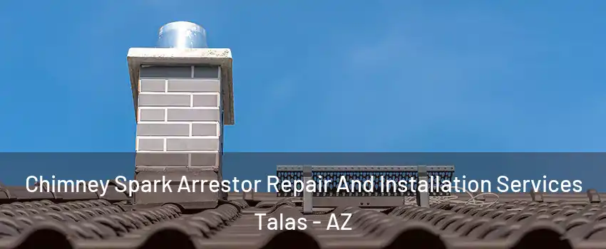 Chimney Spark Arrestor Repair And Installation Services Talas - AZ