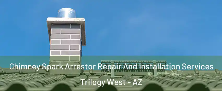 Chimney Spark Arrestor Repair And Installation Services Trilogy West - AZ