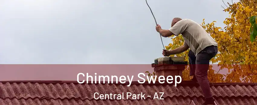 Chimney Sweep Central Park - AZ