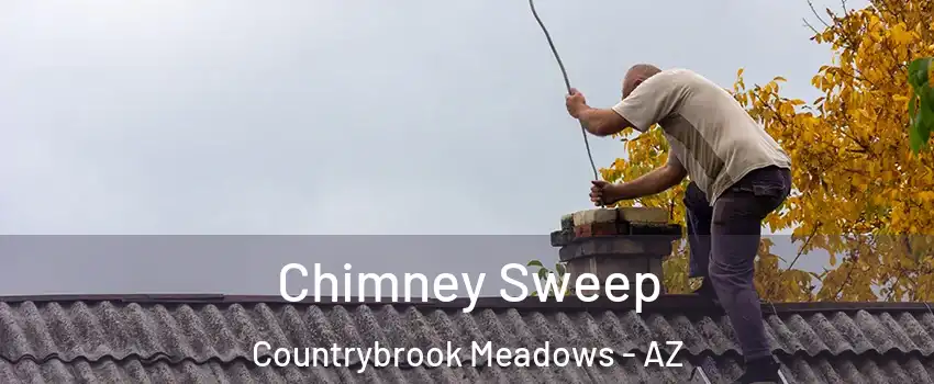 Chimney Sweep Countrybrook Meadows - AZ