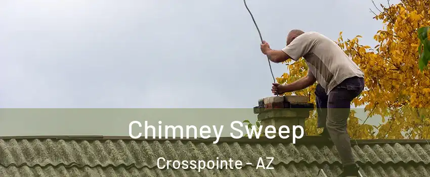 Chimney Sweep Crosspointe - AZ