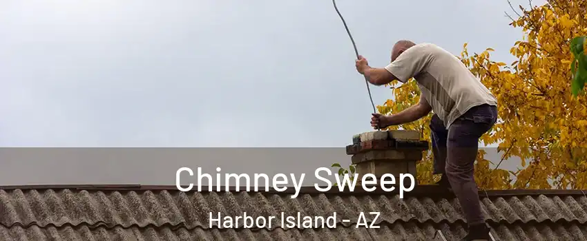 Chimney Sweep Harbor Island - AZ