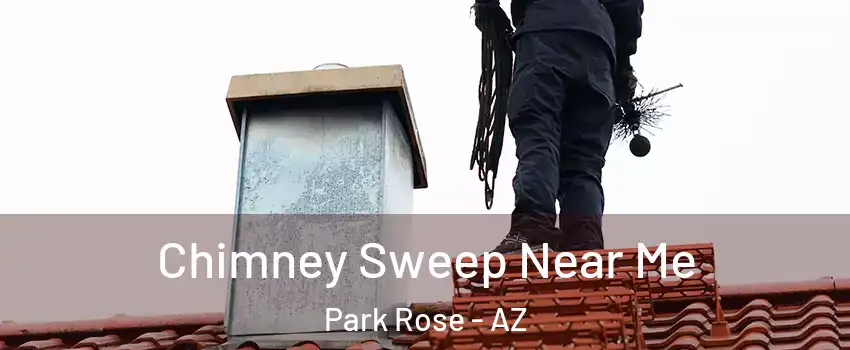 Chimney Sweep Near Me Park Rose - AZ