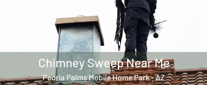Chimney Sweep Near Me Peoria Palms Mobile Home Park - AZ