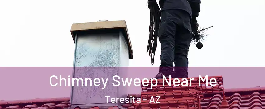Chimney Sweep Near Me Teresita - AZ