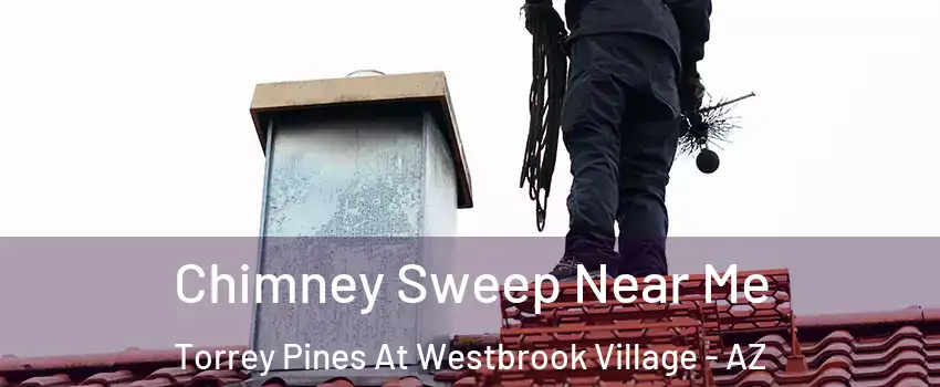 Chimney Sweep Near Me Torrey Pines At Westbrook Village - AZ