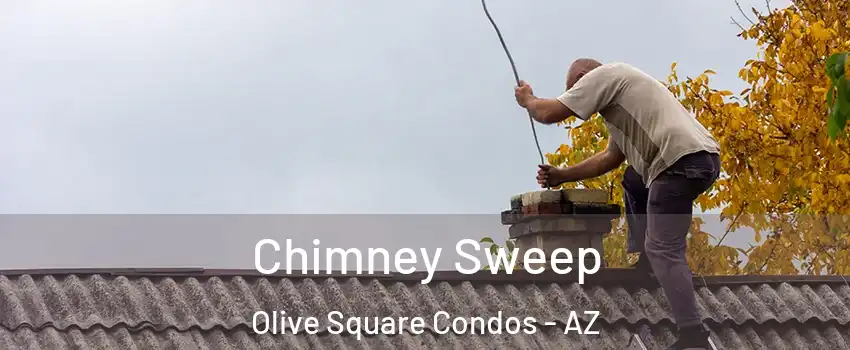 Chimney Sweep Olive Square Condos - AZ