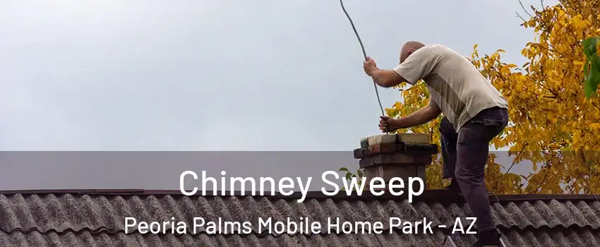 Chimney Sweep Peoria Palms Mobile Home Park - AZ