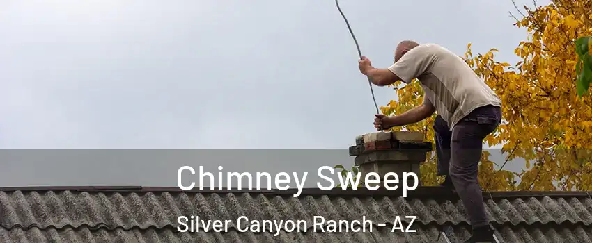 Chimney Sweep Silver Canyon Ranch - AZ