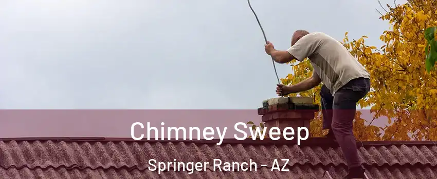 Chimney Sweep Springer Ranch - AZ