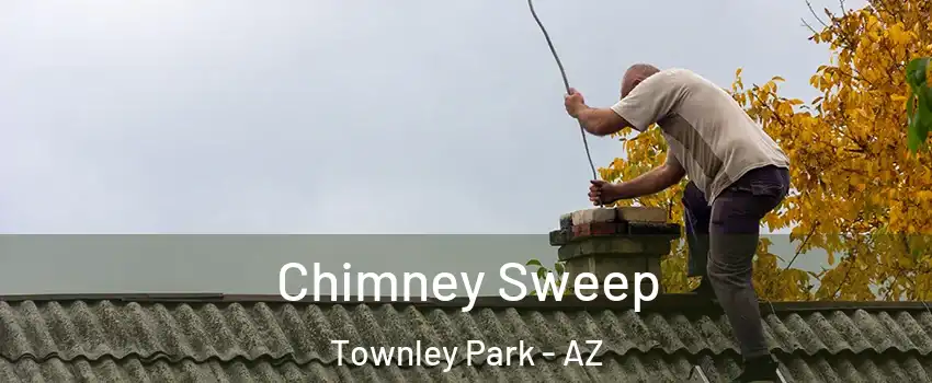 Chimney Sweep Townley Park - AZ