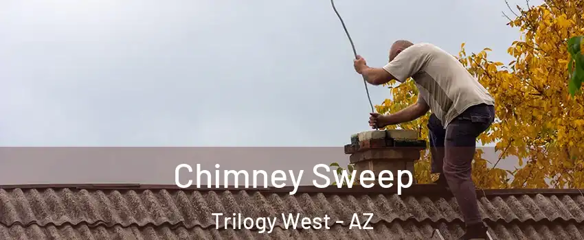 Chimney Sweep Trilogy West - AZ