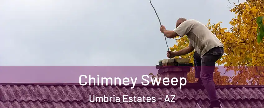 Chimney Sweep Umbria Estates - AZ