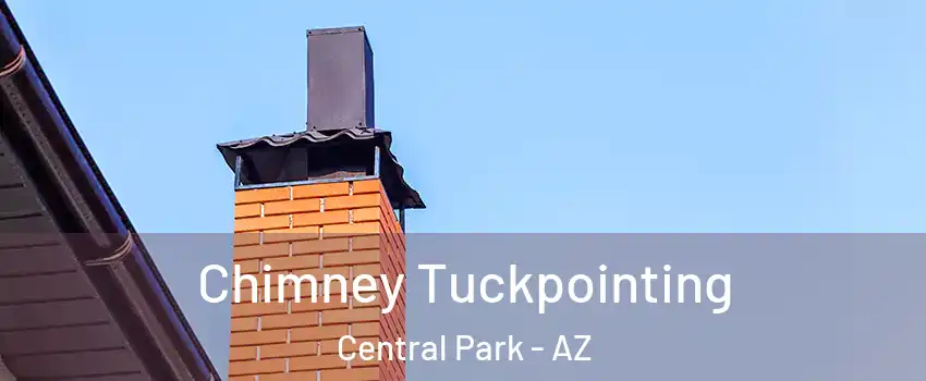 Chimney Tuckpointing Central Park - AZ