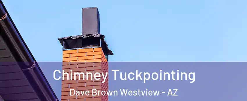 Chimney Tuckpointing Dave Brown Westview - AZ