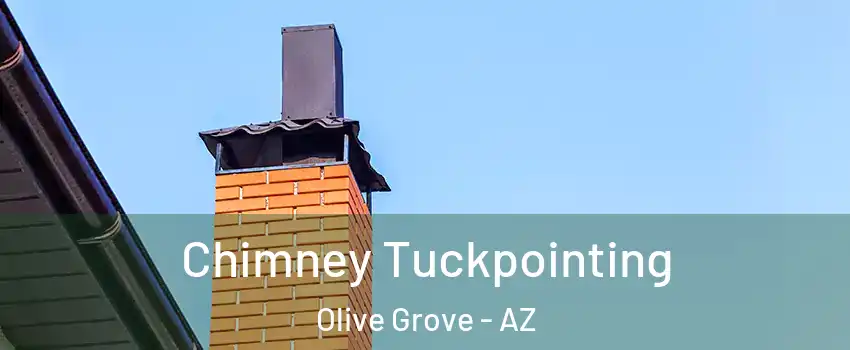 Chimney Tuckpointing Olive Grove - AZ