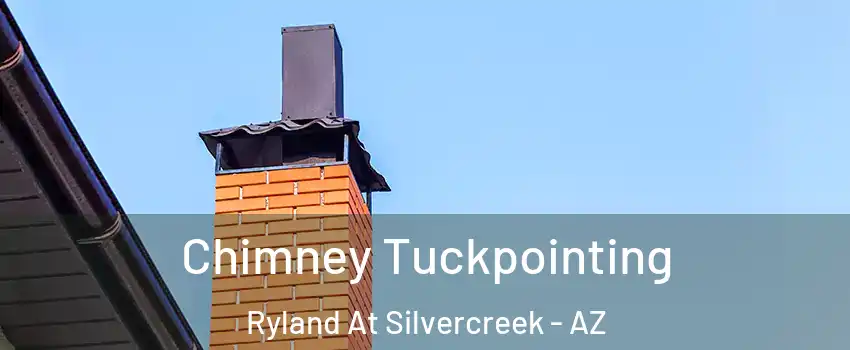 Chimney Tuckpointing Ryland At Silvercreek - AZ