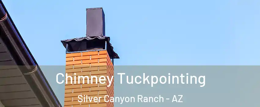 Chimney Tuckpointing Silver Canyon Ranch - AZ